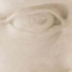 Italian Renaissance Michelangelos David Plaster Eye Detail - 4675242