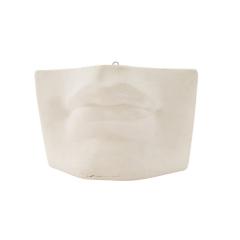 Italian Renaissance Michelangelos David Plaster Mouth Detail - 4733372