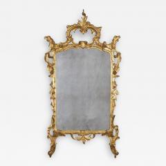 Italian Rococo Carved Gilt Wood Mirror - 2120329