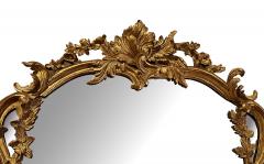 Italian Rococo Style Carved Giltwood Mirror with Floral and Foliate Vine - 4347048