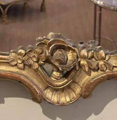 Italian Rococo Style Carved Giltwood Mirror with Floral and Foliate Vine - 4347052