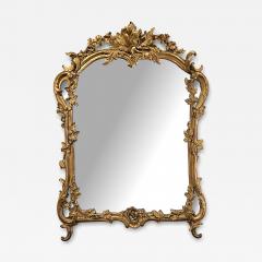 Italian Rococo Style Carved Giltwood Mirror with Floral and Foliate Vine - 4351146