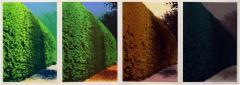 Ivor Abrahams Four Seasons from Eighteen small prints 1973 - 2878205