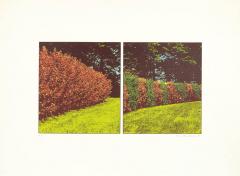 Ivor Abrahams The Garden Suite II Diptych 1970 - 2878201