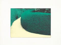 Ivor Abrahams The Garden Suite III Curved Hedge 1970 - 2878215