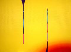 J r me Tham Vo My Bouton d or Alizarine Zinzolin Cosmopolitain - 4472148