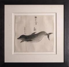 JAPANESE WHALE WATERCOLOR SUJI IRUKA WHITE SIDED DOLPHIN - 2802998