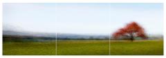 Jacob Gils Frederiksdal 9 Triptych - 4659815