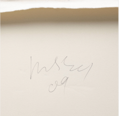 Jacob Kassay Untitled - 4300760