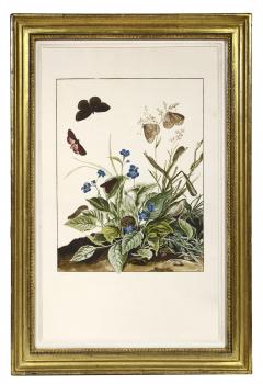 Jacob L Admiral Group of Six Insects with foliage - 2279911