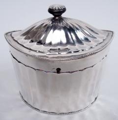 Jacob van Nieuwcasteel Antique Dutch Neoclassical Silver Tea Caddy 1805 - 4424595