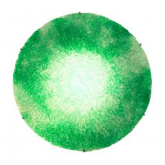 Jacopo Foggini Contemporary Green Polycarbonate Circular Italian Jacopo Foggini Wall Lamp - 1544957