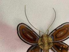 Jacques Duval Brasseur 1970 Butterfly Wall Lamp in Bronze Duval Brasseur Or Isabelle Faure 28 X H 35 - 3244968