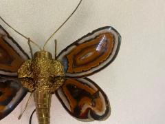Jacques Duval Brasseur 1970 Butterfly Wall Lamp in Bronze Duval Brasseur Or Isabelle Faure 28 X H 35 - 3244976