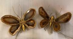 Jacques Duval Brasseur 1970 Couple of Butterfly Sconces in Bronze or Brass Duval Brasseur or I Faure - 3019991