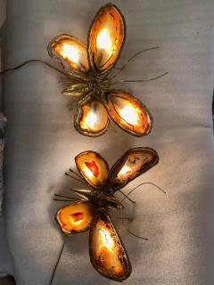 Jacques Duval Brasseur 1970 Couple of Butterfly Sconces in Bronze or Brass Duval Brasseur or I Faure - 3019993