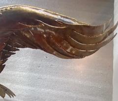 Jacques Duval Brasseur 1970 Eagle Lamp with Spread Wings I Faure for Honor or D Brasseur or Fernandez - 2818365