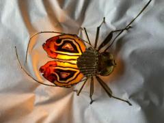 Jacques Duval Brasseur 1970 Illuminating Wall Lamp Cicada in Gilt Bronze Agates Style Duval Brasseur - 3662773