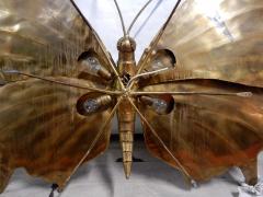 Jacques Duval Brasseur 1970 Sconce or Ceiling Light Butterfly DLG Duval Brasseur or Isabelle Faure - 2328234