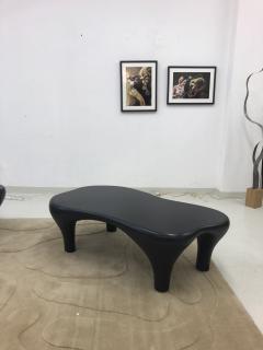 Jacques Jarrige Toro Coffee Table with Matte finish - 1412217