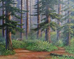 Jake Vandenbrink West Coast Woods - 4423320