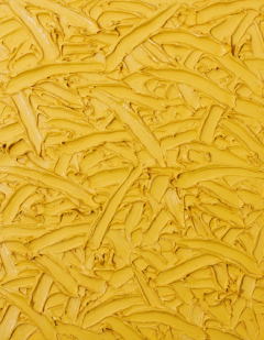 James Hayward ABSTRACT 141 2007 - 3632986