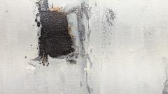 Jammie Hoffman Painting Raposdia  - 4095842
