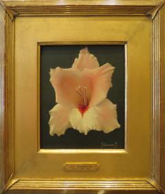 Jan Voerman Gladiola Pink and Red - 153838