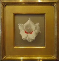 Jan Voerman Gladiola White and Red - 153841