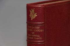 Jane C Loudons The Ladies Flower Garden of Ornamental Bulbous Plants  - 1084548