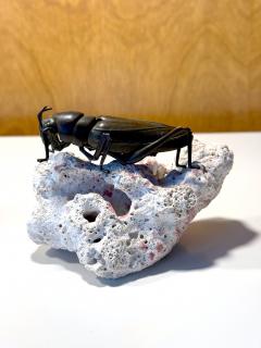 Japanese Articulate Bronze Grasshopper Jizai Okimono Myochin Linage Signed - 4472792