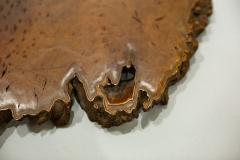 Japanese Burl Presentation Platform - 1950278