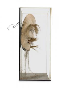 Japanese Ceramic Onikami Noh Mask in a Shadow Box - 4668921
