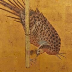 Japanese Four Panel Screen A Family of Golden Pheasants Under Wisteria - 4442384