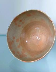 Japanese Glazed Ceramic Gohon Chawan Tea Bowl - 3349679