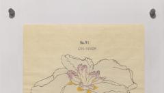 Japanese Iris CHO HIYEN - 2395458