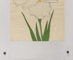 Japanese Iris CHO HIYEN - 2395460
