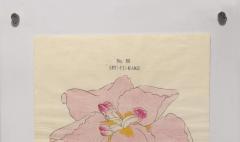 Japanese Iris SHU FU RAKU - 2391233
