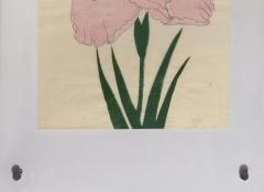Japanese Iris SHU FU RAKU - 2391234