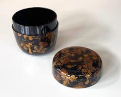 Japanese Lacquered Maki e Natsume in Kodaiji Style - 3129241