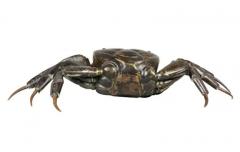Japanese Meiji Articulated Bronze Crab - 4129803