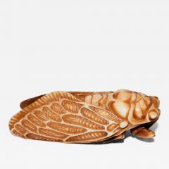 Japanese Netsuke of Cicada Signed - 324174