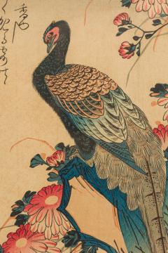 Japanese Painting of a Peacock on Branch - 4516960