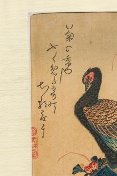 Japanese Painting of a Peacock on Branch - 4516961