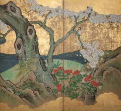 Japanese Six Panel Screen Cherry in Bloom in Flowering Spring - 2528649