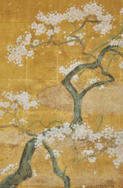 Japanese Six Panel Screen Falling Cherry Blossoms - 3754835