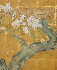 Japanese Six Panel Screen Falling Cherry Blossoms - 3754840