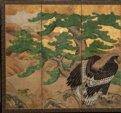 Japanese Six Panel Screen Hawk with Ancient Pine - 1771306