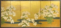 Japanese Six Panel Screen Rimpa School Chrysanthemums on Gold - 1344162