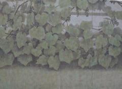 Japanese Two Panel Screen Blue Vine - 4203039
